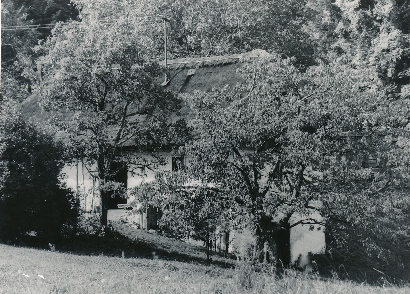 eika image